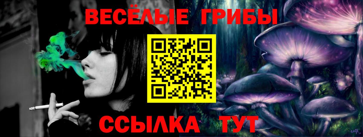 Псилоцибиновые грибы ЛСД Губаха