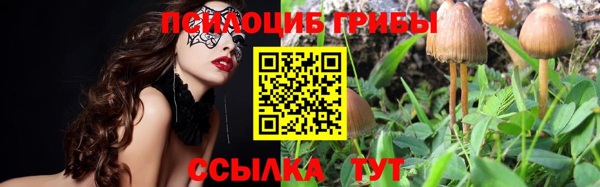Губаха  Гашиш  ЭКСТАЗИ  КОКАИН  Вход с VPN  Конопля  НБОМе  ГАШ  Меф МЯУ МЯУ   A-PVP СК кристаллы 