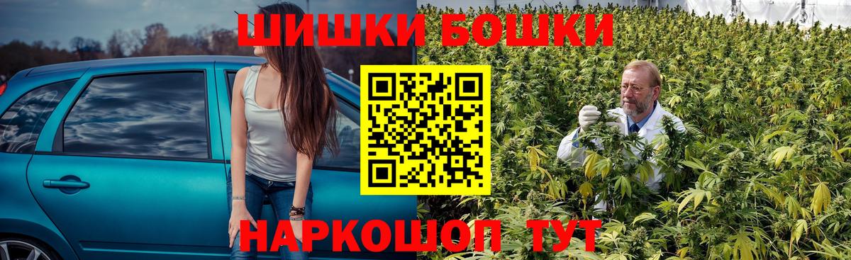 Канабис планчик Губаха